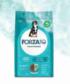 Dog food bag labeled FORZA10 Maintenance Maxi Adult for large dogs (36–70 kg) with a picture of a dog on the front designer packaging