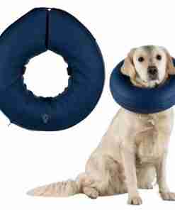Blue inflatable dog neck collar and a golden retriever wearing one, serving as a donut-style alternative to a cone.