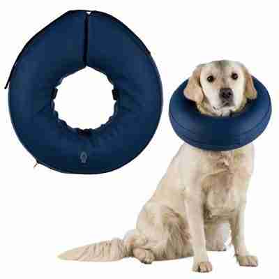 TRIXIE COLLARE ELISABETH GONFIABILE S-M BLU - GioPet - GioPet Blue inflatable dog neck collar and a golden retriever wearing one, serving as a donut-style alternative to a cone.