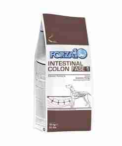 Packaging for a canine intestinal health supplement labeled 'Intestinal Colon Fase 1' with a dog diagram on the label.
