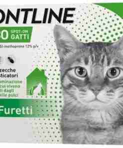 FRONTLINE COMBO GATTI 6 PIPETTE ANTIPARASSITARIO PULCI E ZECCHE - GioPet - GioPet Frontline Combo Spot-On Gatti e Furetti box for cats; shows a gray cat portrait and green branding, six pipettes included