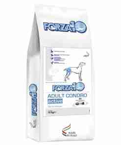 Bag of Forza10 Adult Condro Active dog food with a white and blue label showing a dog illustration and Made in Italy symbol, 10 kg