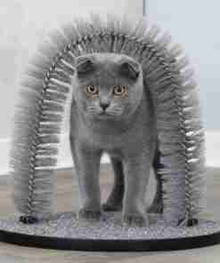 TRIXIE ARCO MASS GATTI 36X33 GRIGIO - GioPet - GioPet Grey cat standing under a curved, spiky brush toy on a round base, looking forward with alert eyes.
