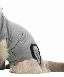 Long-haired cat wearing a light gray hoodie, sitting on a white background and looking toward the camera.