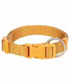 Orange nylon dog collar with a quick-release plastic buckle and metal D-ring (Trixie brand) .