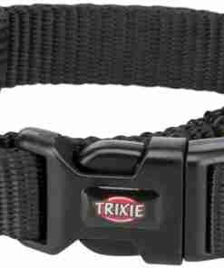Black adjustable nylon dog collar with plastic quick-release buckle and metal D-ring for leash attachment (Trixie brand)