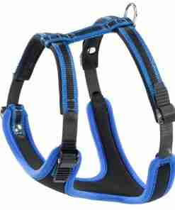 Blue and black adjustable dog harness with padded chest and metal leash ring for secure walking.