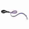 Purple nylon dog leash with a black padded handle and a metal clip at the end.