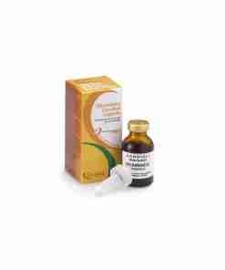 Brown glass bottle labeled 'Vitaminico Candiol' with a dropper beside an orange box, product for otology/entology (Italian packaging).